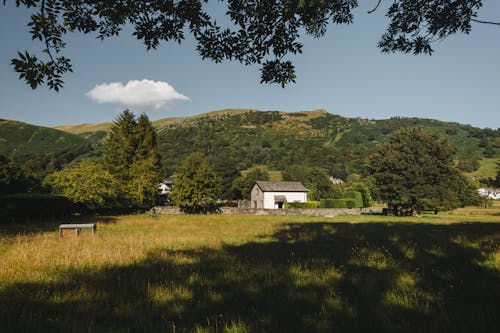 Rural house on grassy meadow