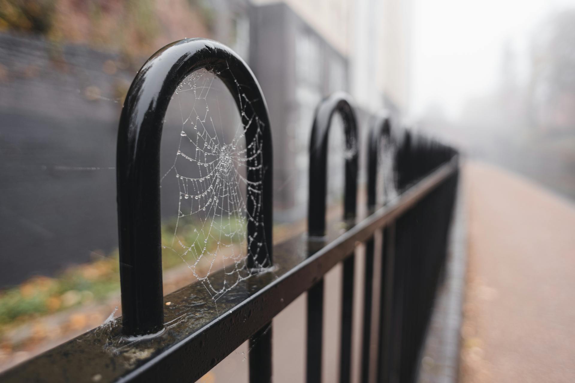 A foggy urban street scene featuring a spider web on a black metal fence.