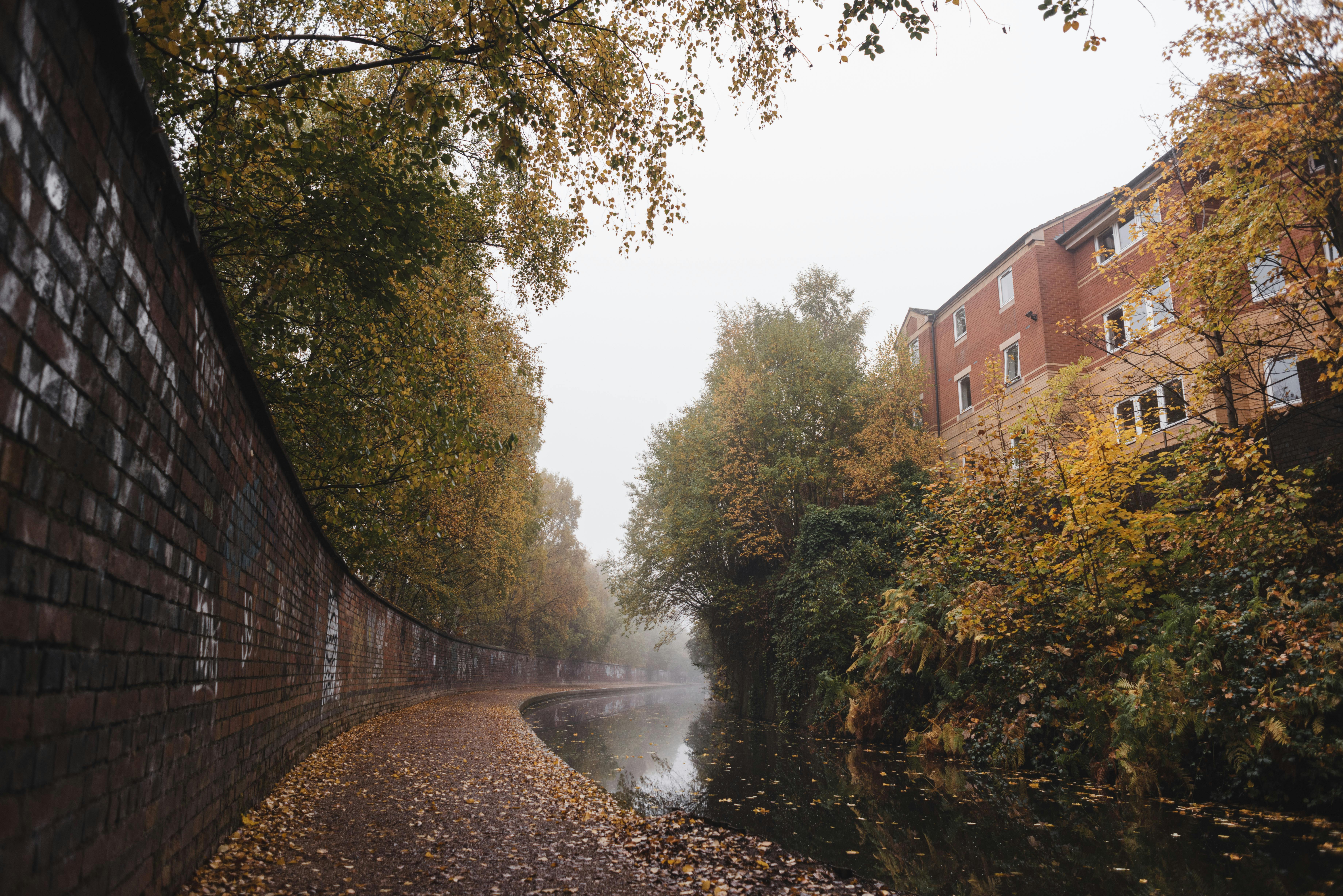 water canal near trees and building