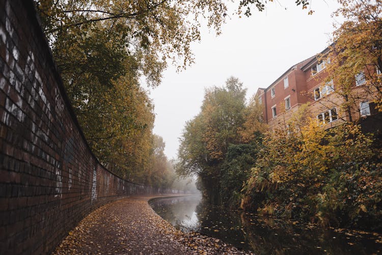 Water Canal Near Trees And Building