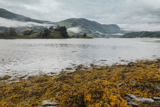 Picturesque view of a misty lake and highlands in Glencoe, Scotland.