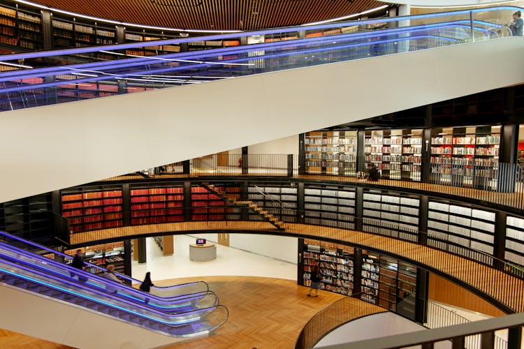 Interior Of Modern Library With Escalators