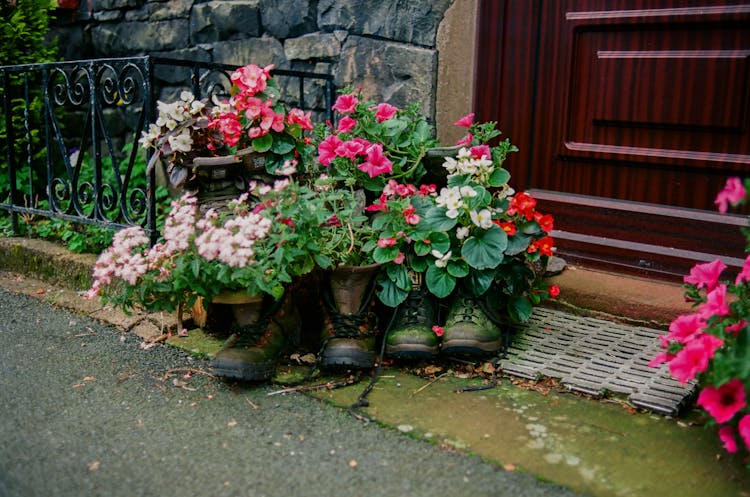 Blooming Flowers In Boots Near Doorstep