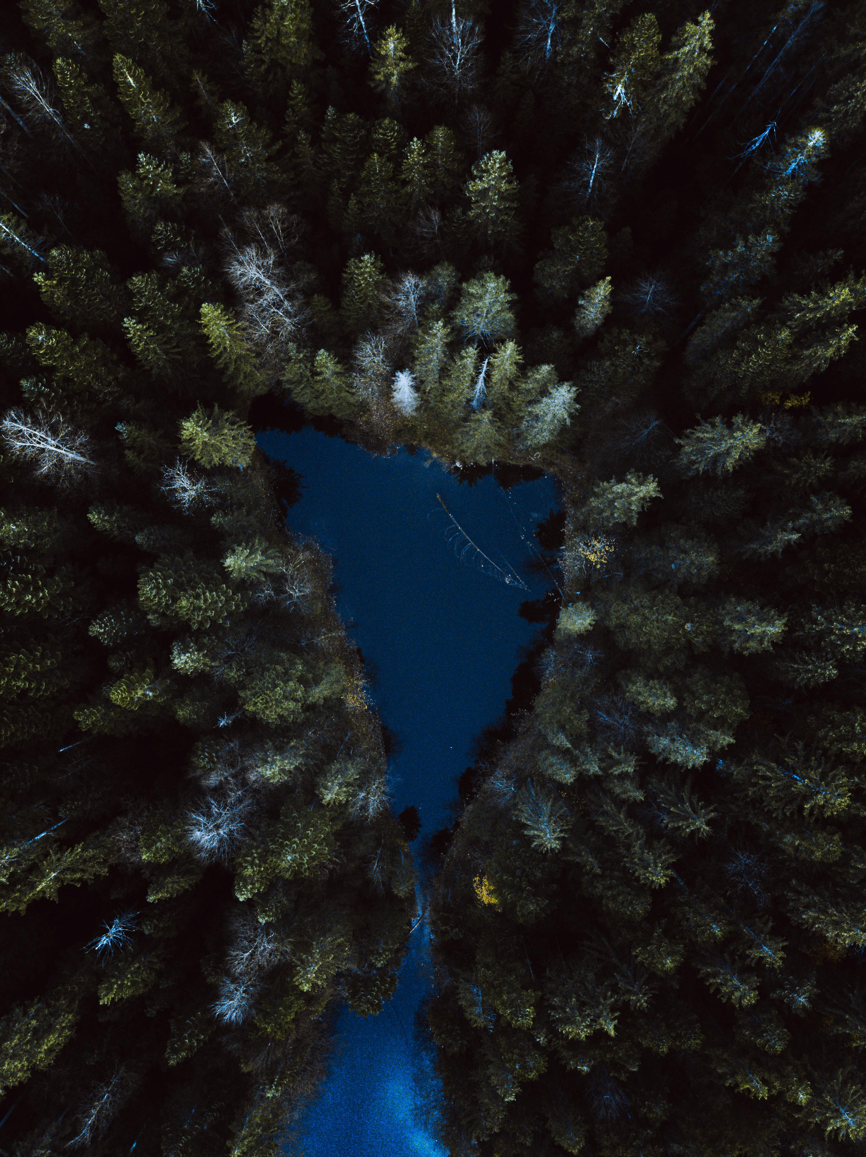 Stunning aerial shot of a tranquil lake enveloped by lush, dense forest in Grainau, Germany.