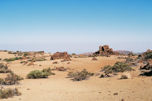 Immagine gratuita di arido, cespugli, deserto