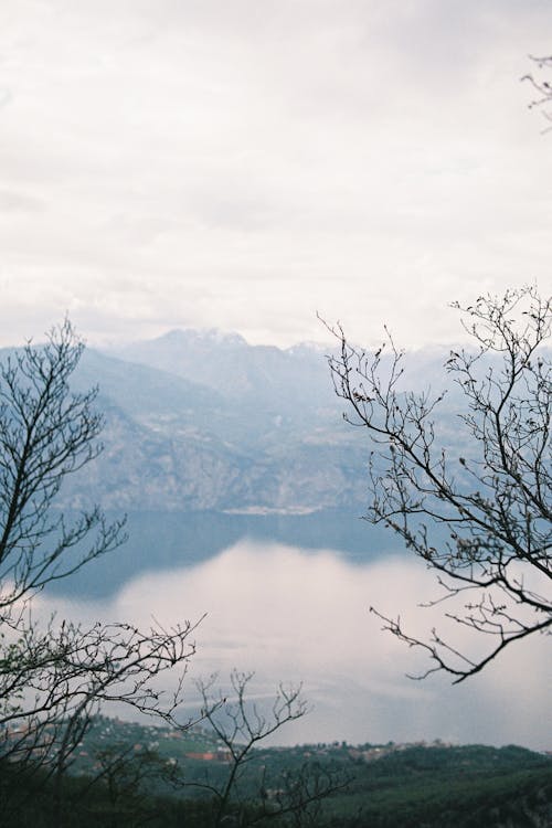 Free Lake in Foggy Nature Landscape Stock Photo