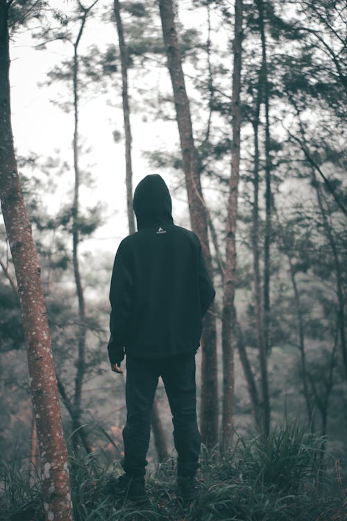 穿黑色连帽衫，站在森林中间的黑裤子的男人