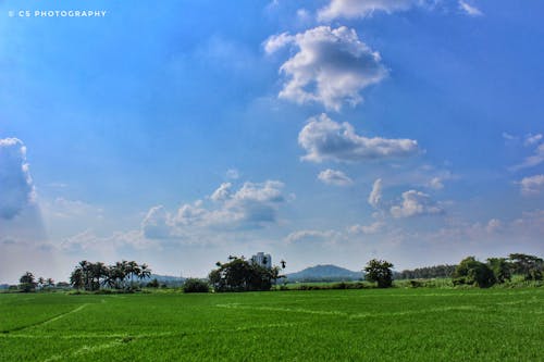 Free stock photo of blue sky, clear sky, clouds