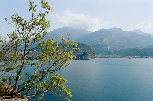 Picturesque scenery of blue sea rippling near rough rocky mountains and lush tree on sunny day