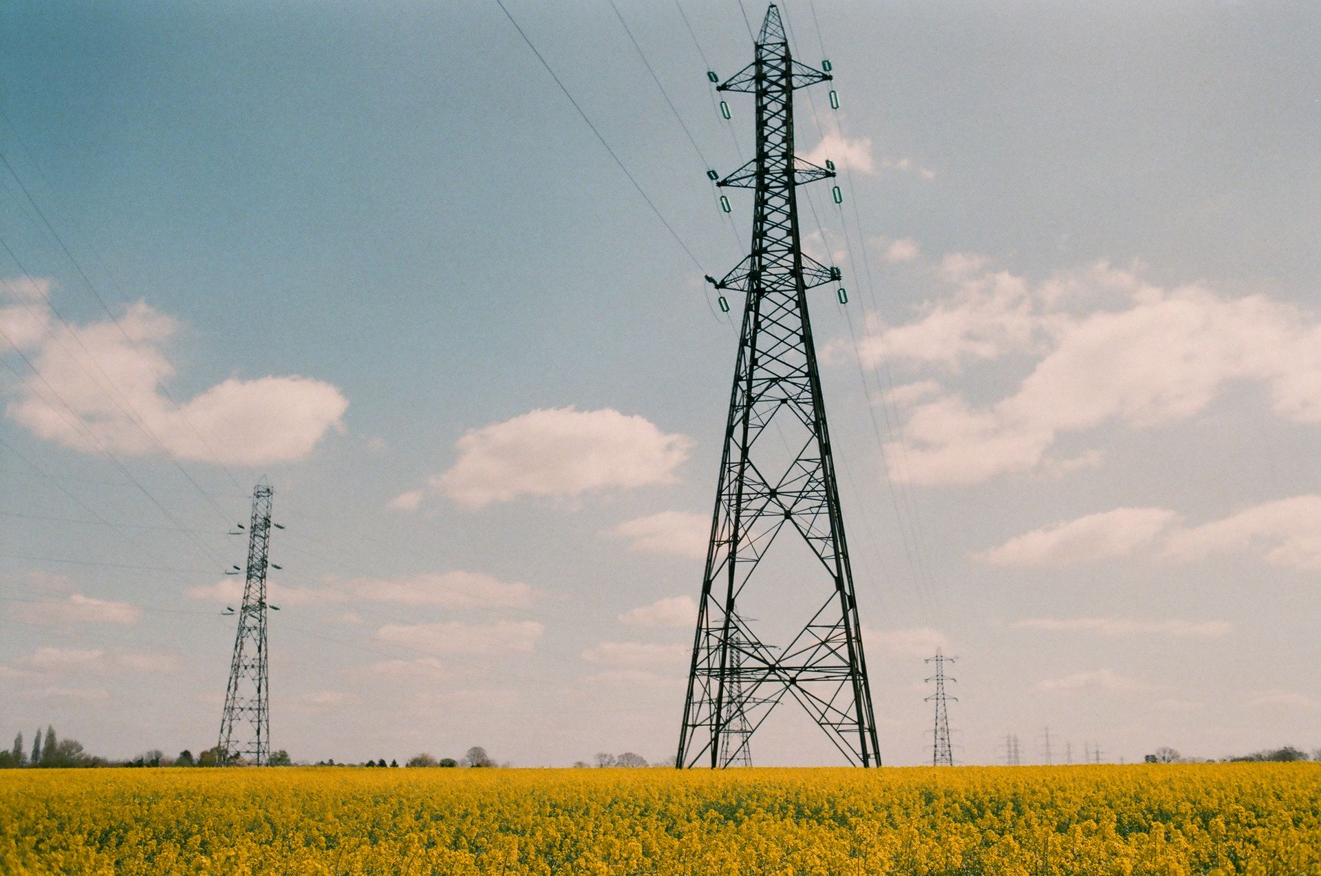 Power lines located in field