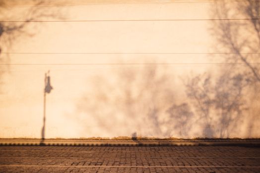 Tramways on roadway against wall with tree shadows in town