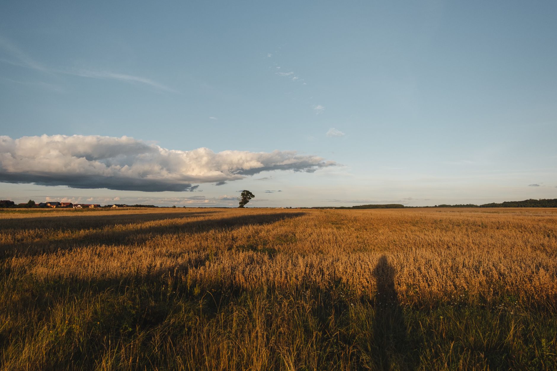 Scenic view of vast meadow with faded grass under cloudy sky in autumn on sunny day