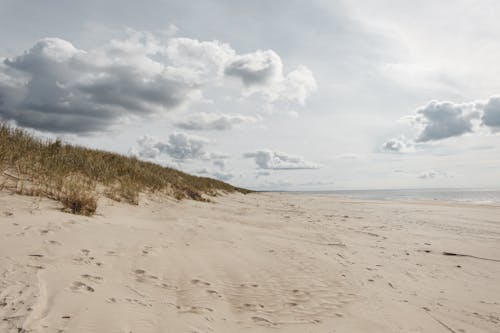 Sandy shore with grass against ocean under cloudy sky