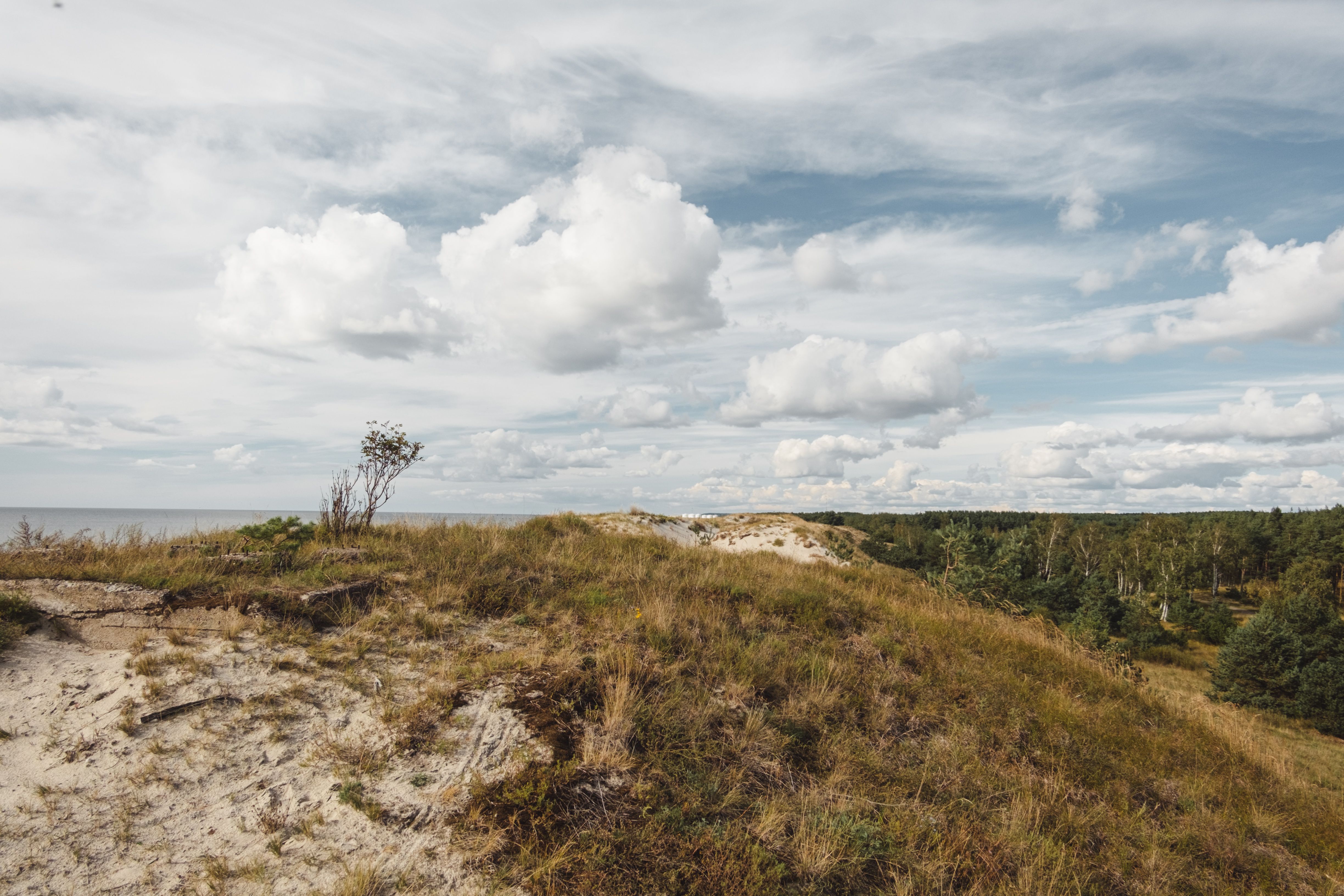 Vast sand dunes of Curonian Spit National Park in Lithuania