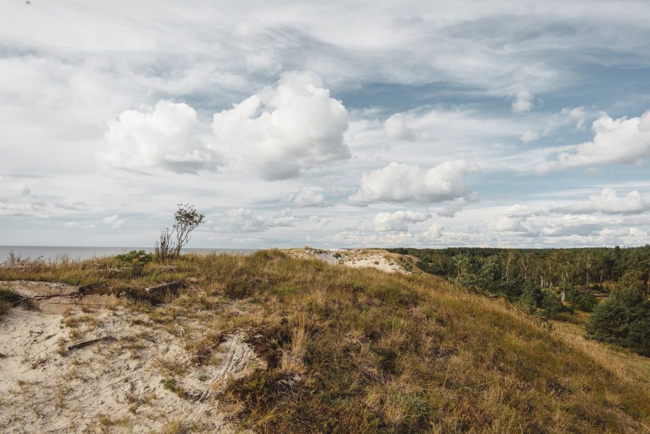 Vast sand dunes of Curonian Spit National Park in Lithuania