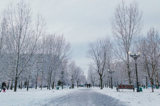 Walkway between overgrown trees on snowy land and anonymous people under light sky in winter city
