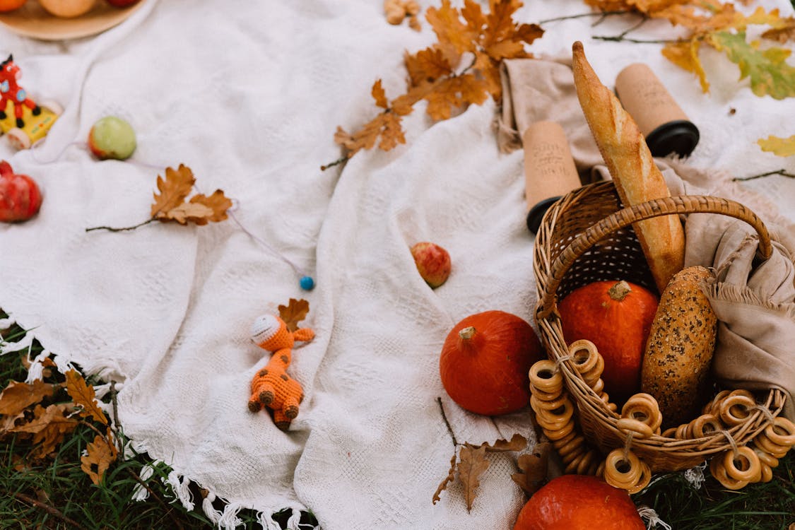 From above of freshly baked breads and crispy bagels in wicker basket placed on white blanket and composed with red kuri squashes and dry leaves during picnic in autumn forest