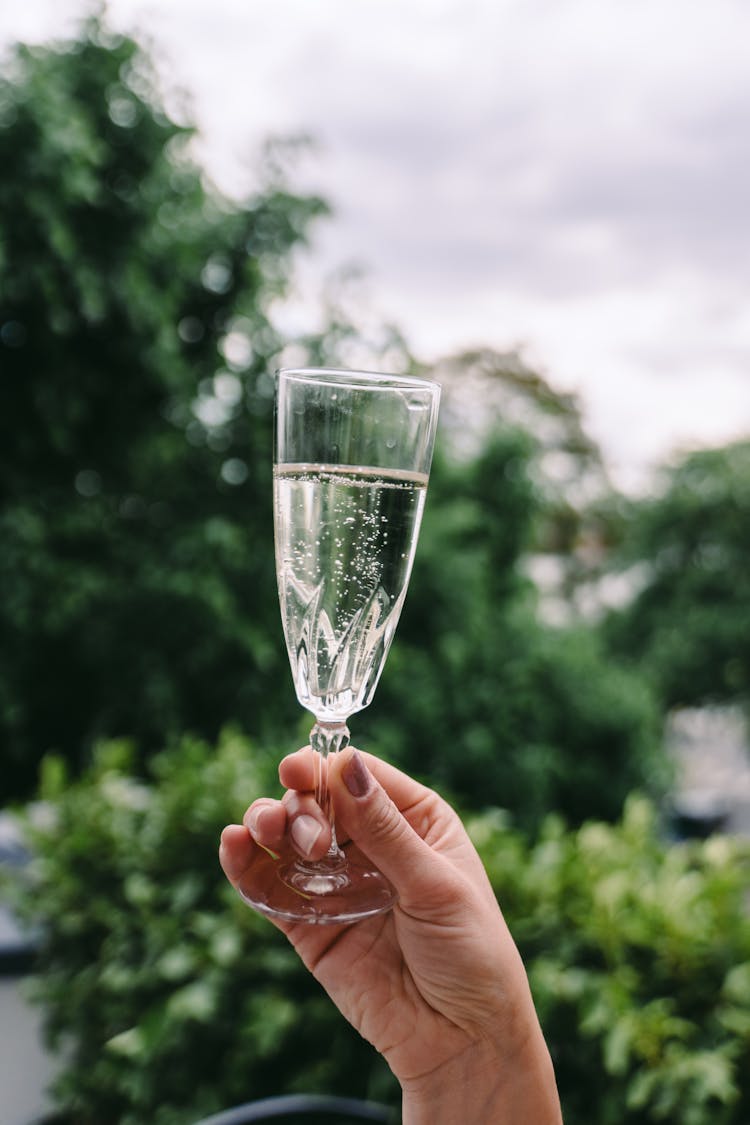 Crop Woman Holding Glass Of Sparkling Wine In Green Garden