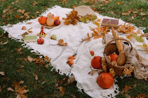 From above of ripe exotic red kuri squashes with pumpkins and wicker basket with fresh bread arranged on blanket with books and scattered dry leaves in autumn park