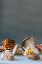 Fresh raw assorted oyster mushrooms and velvet shank scattered on table against gray background