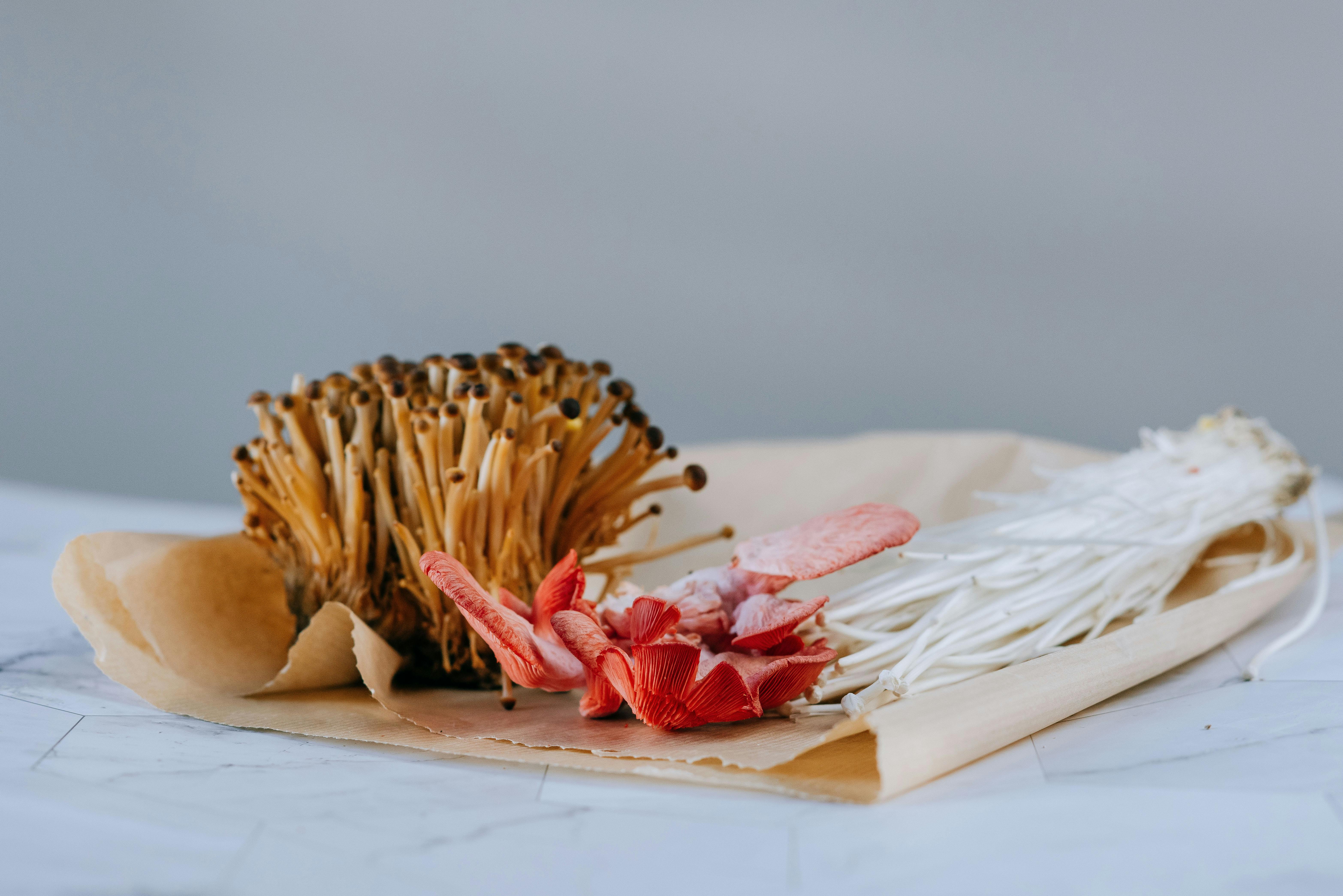 set of fresh raw mushrooms served on paper on table