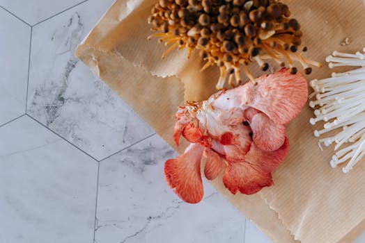 Top view of many various exotic mushrooms prepared on paper bag on concrete tile