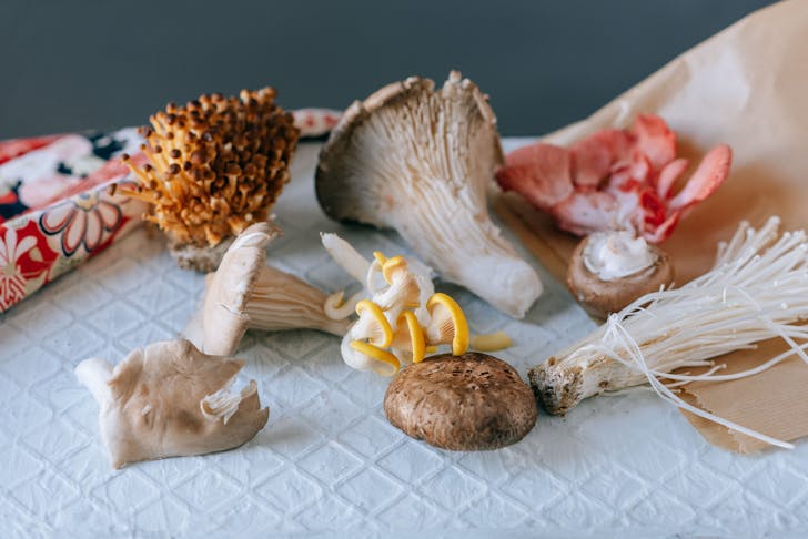 From above of various exotic mushrooms placed on textured white table on green background