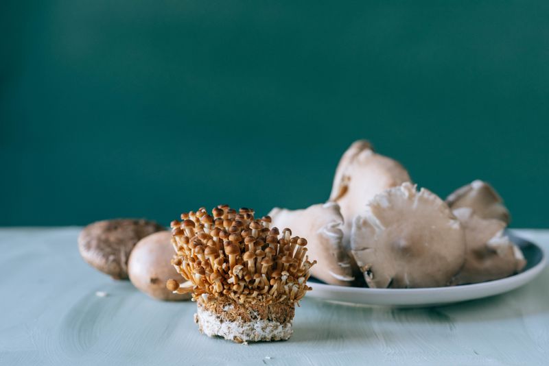 Small brown nameko mushrooms placed on white table of kitchen on green background