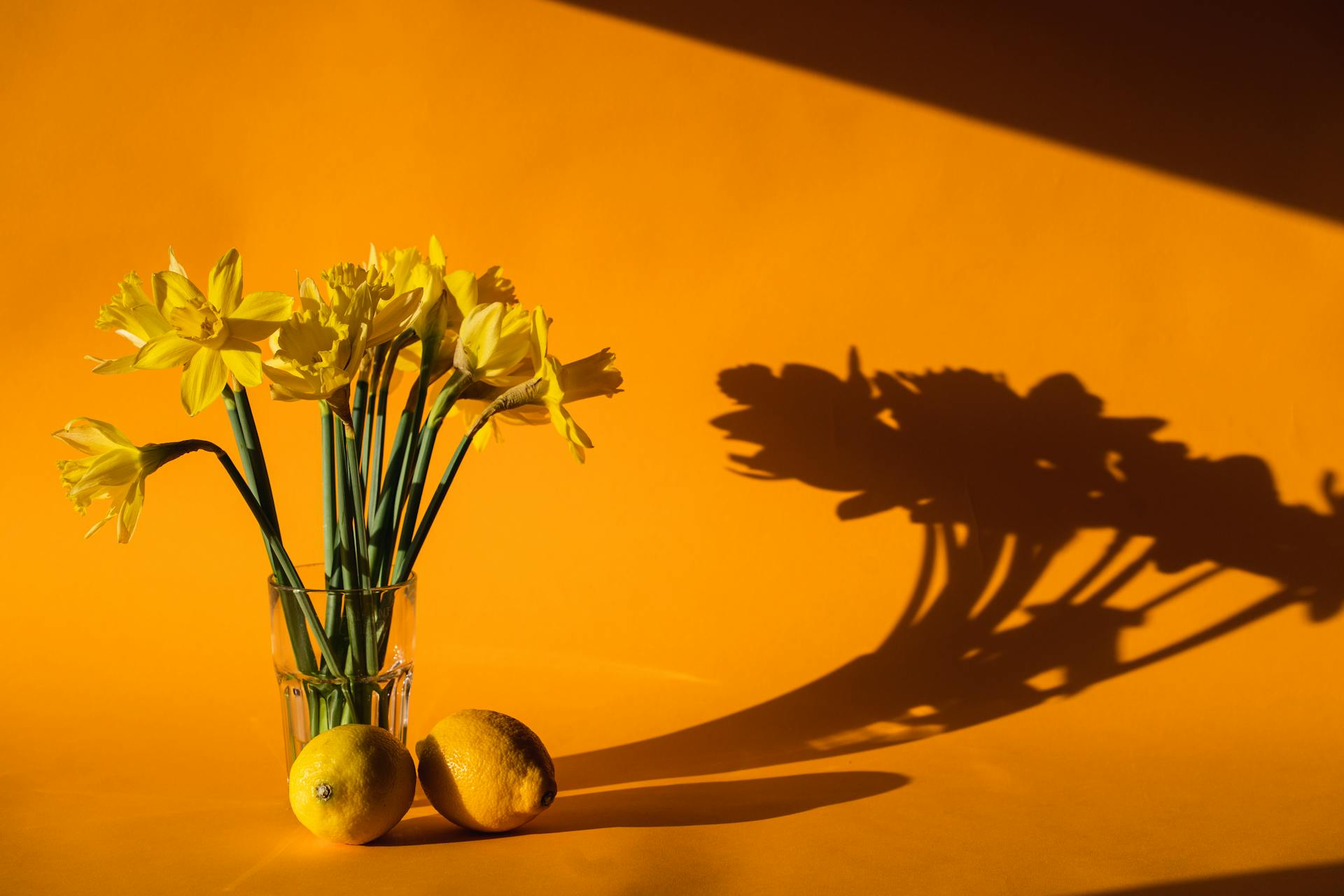 Photo of Daffodil Flowers Near Yellow Lemons