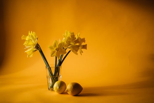Çiçekler, içki bardağı, Limon içeren Ücretsiz stok fotoğraf