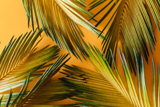 Close-up of green palm leaves on a vibrant yellow background highlighting nature's contrast.
