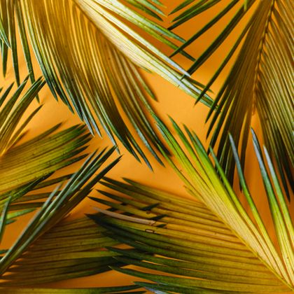 summer wallpaper