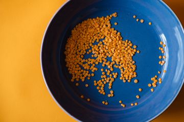 Dry red lentils scattered across a deep blue plate on a bright yellow background