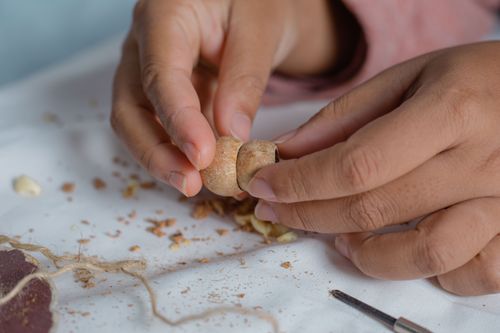 Free Crop anonymous master fastening wooden shells together while sitting at table with shavings and special tool during work in workshop Stock Photo
