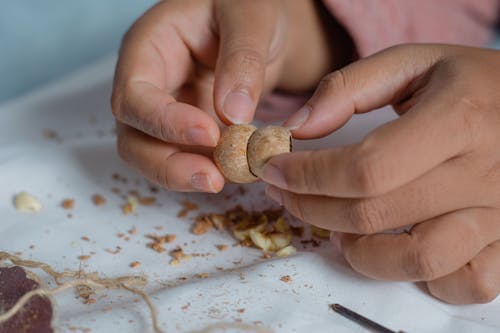 Free Anonymous person fastening shells at table Stock Photo