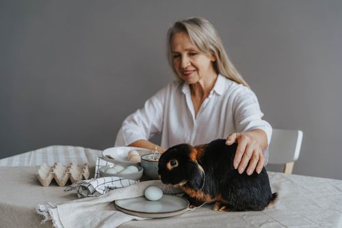 Free A senior woman in a white blouse gently pets a rabbit on a table with Easter eggs. Stock Photo