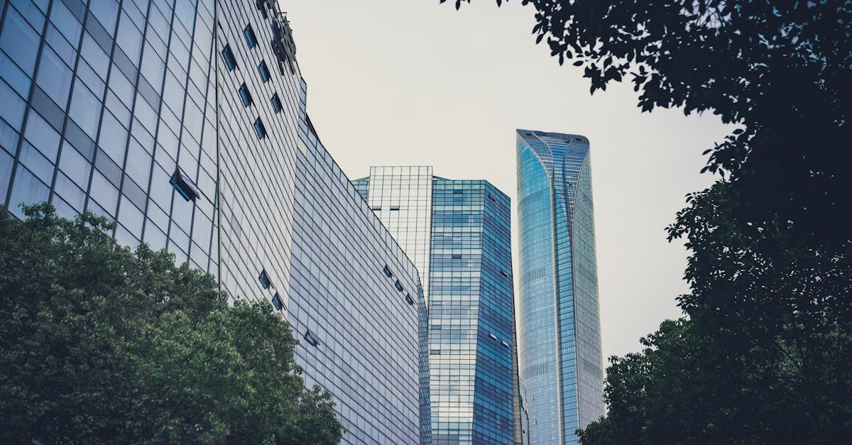 Les tendances écologiques en entreprise en 2026