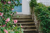 Pink Flower on Brown Concrete Stairs