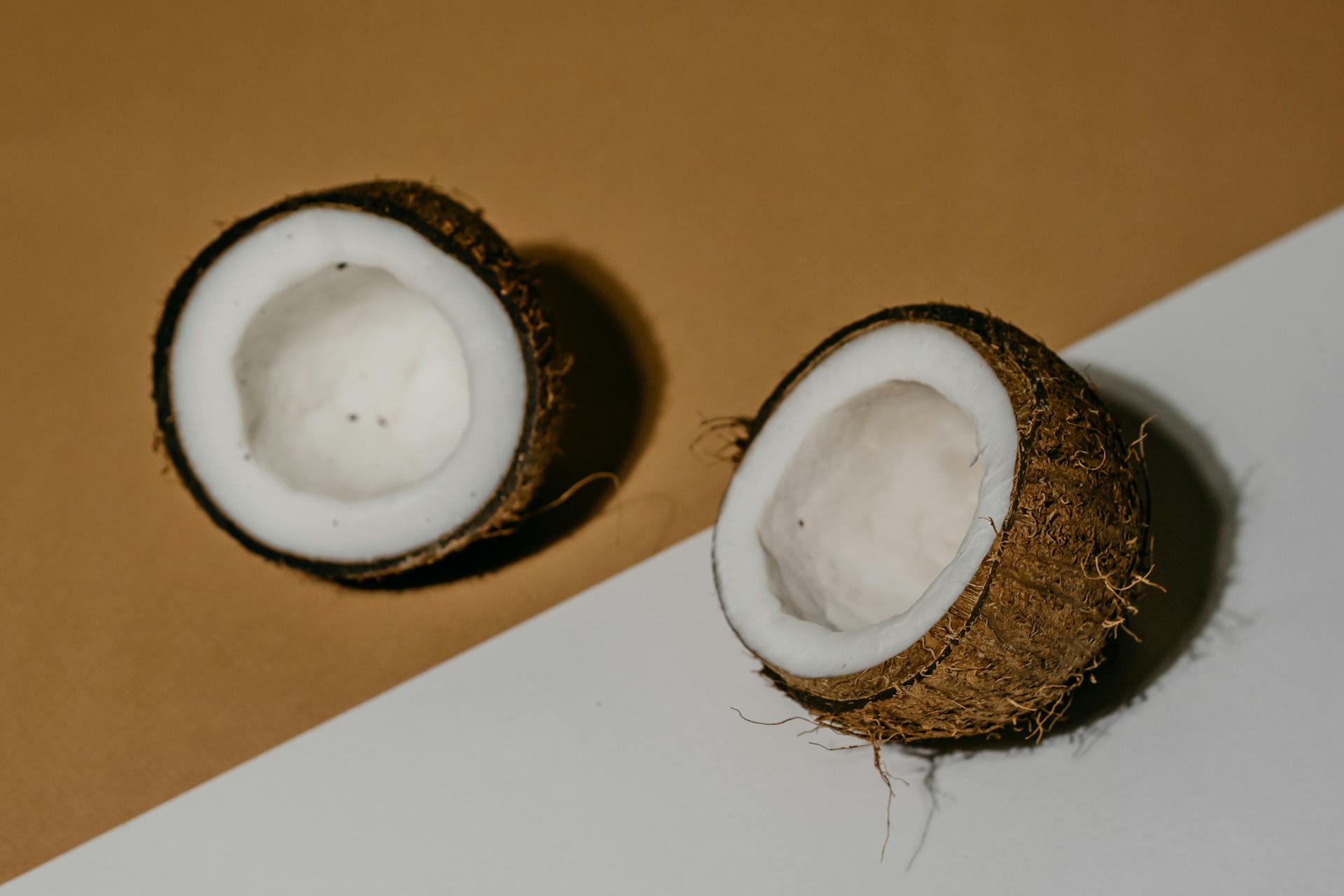 Copra Inside a Coconut Shell