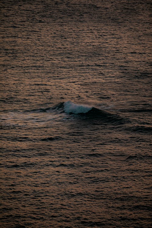 Fotos de stock gratuitas de decir adiós con la mano, mar, Oceano