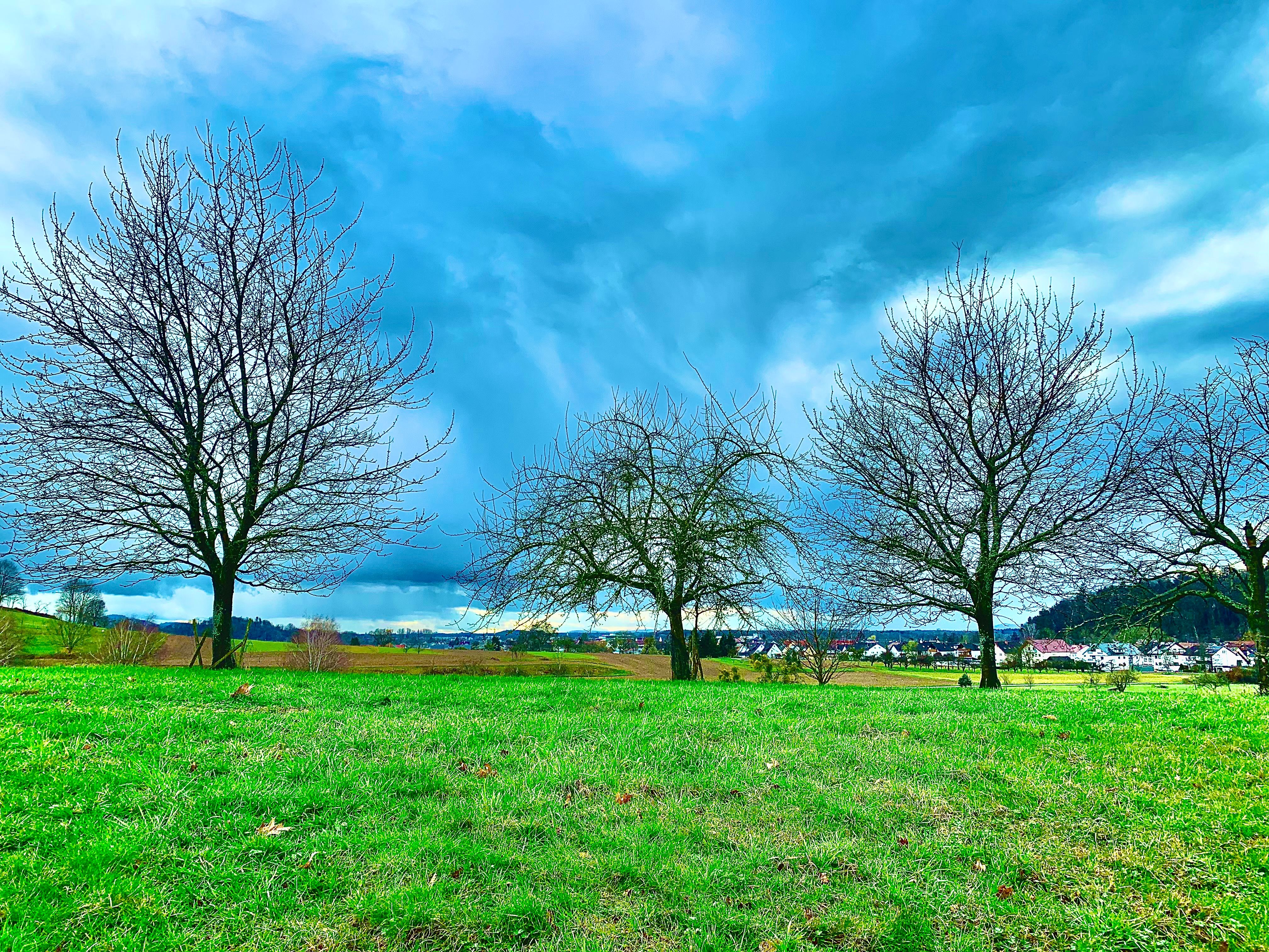 free-stock-photo-of-4k-background-4k-resolution-4k-wallpaper