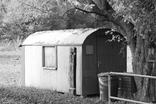 Free stock photo of black and white, cabin