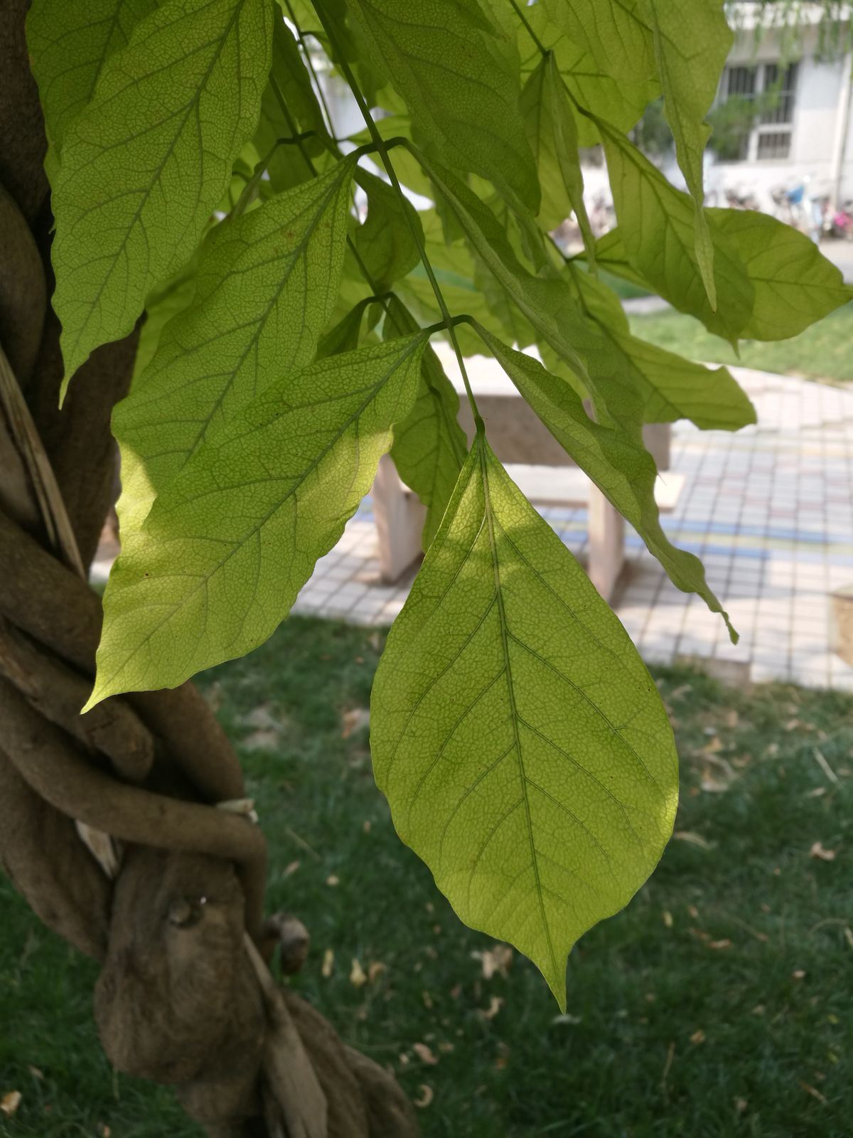 Erzincan Cins Değişikliği & Kat Mülkiyetine Geçiş Kapsamlı Rehberi