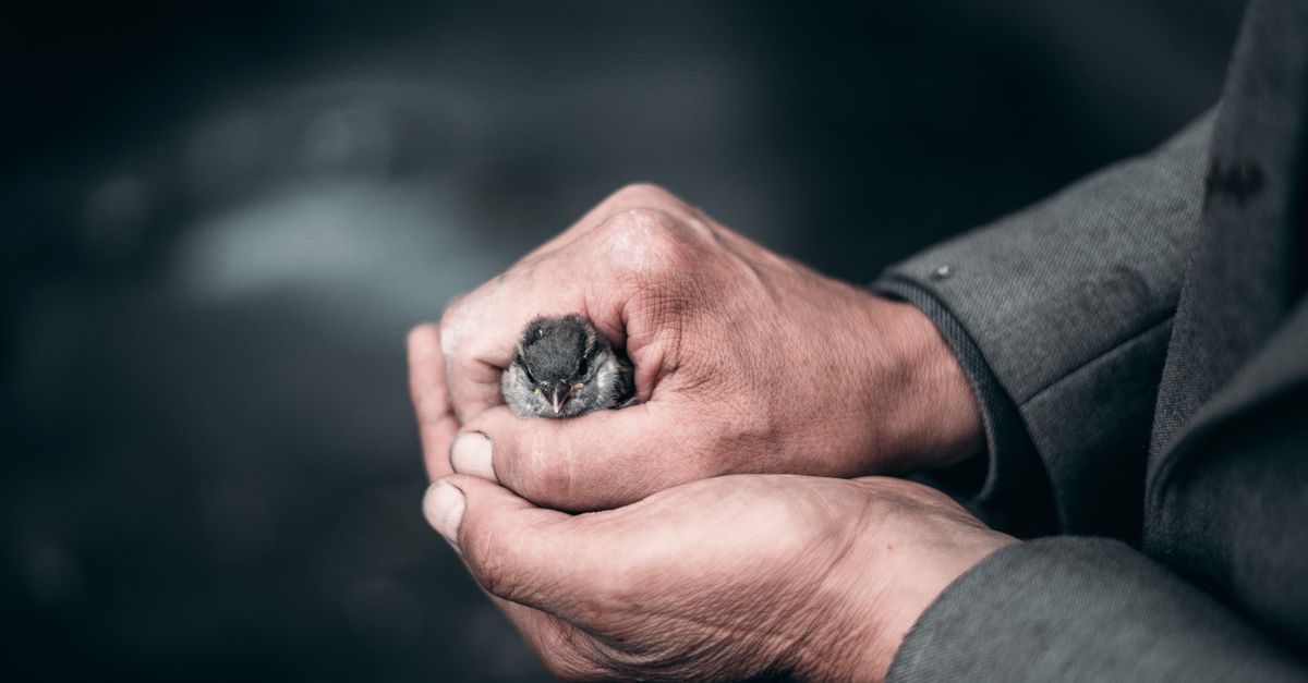 Les 4 questions clés pour dialoguer avec vos protecteurs