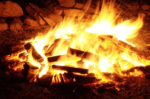 Free Bon Fire With Firewood Lot Stock Photo