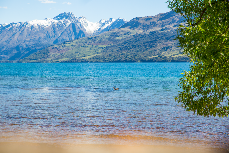 Amazing Mt Cook Tour & Ultimate Alpine Experience Combo from Queenstown Review Review 2026 - Breathtaking view of Lake Wakatipu with distant snowy mountains, vibrant water, and lush foliage.