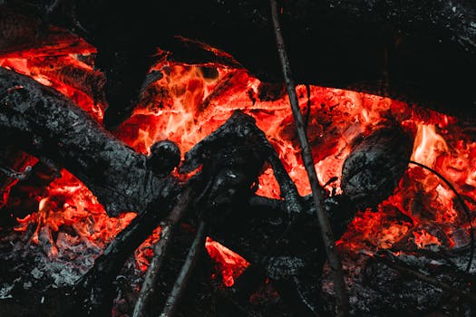 Unleash Your Inner Phoenix from the Ashes of Doubt