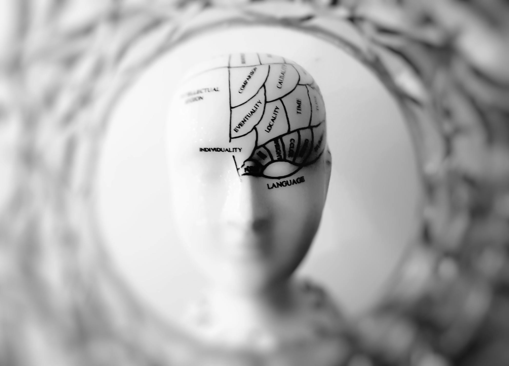 Brain Photo by meo from Pexels
