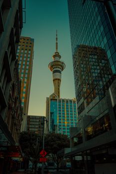 Capture of the iconic Sky Tower in Auckland framed by modern skyscrapers at dusk.