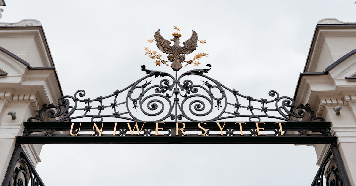 Black Metal Floral Gate Under White Sky